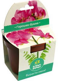Набор для выращивания в горшочке Горошек (hpp-199)