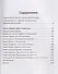 Прямое действие. Мемуары городской партизанки - 2