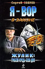 Жулик: Грабеж средь бела дня: роман