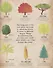 The Magic and Mystery of Trees - 1