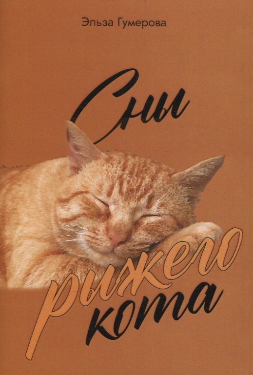 

Сны рыжего кота