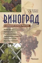 Виноград в средней полосе России