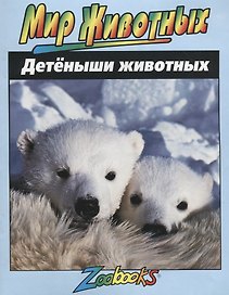 Детеныши животных