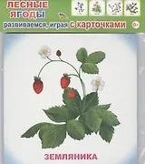 Обучающие карточки Лесные ягоды (упаковка) (978-5-91282-757-0)