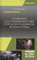Управление состоянием массива пород при подземной геотехнологии (УдВСпецЛ) Боровков