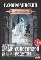 Храм Элементов. Кн. 1: Сын синеглазой ведьмы