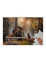 Альбом для рисов.Утро в сосновом лесу.Рисуем по номерам  (8+)