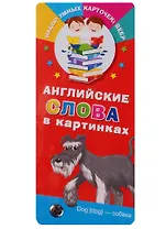 Английские слова в картинках