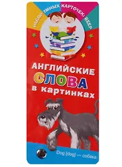Английские слова в картинках