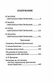 Святое Евангелие  с приложением - 1