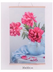 Картина-раскраска по номерам «Яркие пионы», 30 x 50 см, Origami