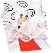 3D открытка Жених и невеста (Bride and Groom) (мини) (TR110)