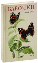 Бабочки