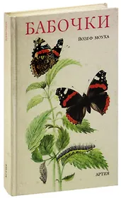 Бабочки