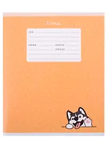 Тетрадь в линейку Listoff, "Дай пять!", 24 листа, в ассортименте