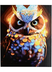 Холст с красками по номерам "Прекрасная Сова", 40 х 50 см