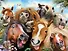 Пазл 63 Super 3D Kids Лошади селфи (31х23) (4+) (13561) (коробка) - 2