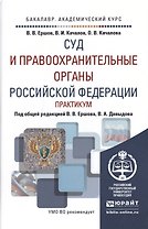 Суд и правоохранительные органы РФ. Практикум. Учебное пособие для академического бакалавриата