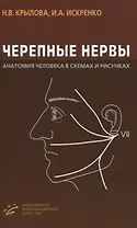 Черепные нервы. Анатомия человека в схемах и рисунках