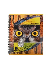 Тетрадь в клетку Полиграфика, Wise Eyes, 80 листов, в ассортименте