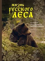 Жизнь русского леса (издание дополненное и переработанное) (медведь)