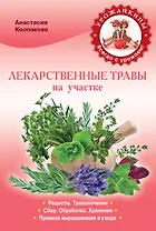 Лекарственные травы на вашем участке