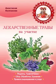 Лекарственные травы на вашем участке