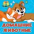 Домашние животные - 0