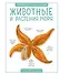 Животные и растения моря - 0