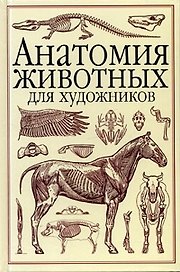 Анатомия животных для художников