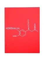 Записная книжка А6 80л лин. "Molecule. Adrenalin" интеграл.переплет, Soft Touch, тиснение серебр.фольгой