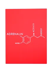 Записная книжка А6 80л лин. "Molecule. Adrenalin" интеграл.переплет, Soft Touch, тиснение серебр.фольгой