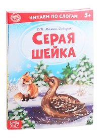 Набор "Читаем по слогам" (комплект из 6 книг)