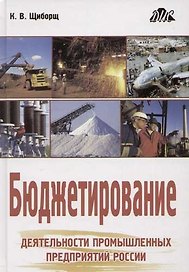 Бюджетирование деятельности промышленных предприятий России