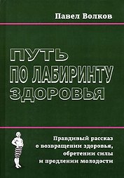 Путь по лабиринту здоровья. Правдивый рассказ о возвращении здоровья, обретении силы и продлении молодости