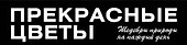 Прекрасные цветы. Шедевры природы на каждый день - 2