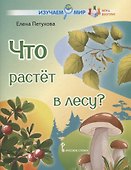 Что растёт в лесу? Стихи для детей - 0