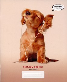 Тетрадь для нот «Любимая музыка» 16 листов, А5 - Listoff