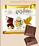 Шоколад Witor’s Harry Potter Milk Chocolate Caramel Pop Corn, 50г - 1