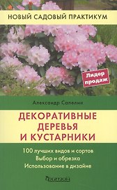 Декоративные деревья и кустарники