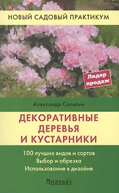 Декоративные деревья и кустарники