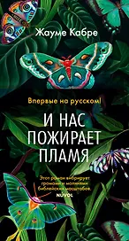 И нас пожирает пламя