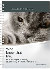 Тетрадь общая «Cats and dogs», 96 листов в клетку, А4 - Be Smart