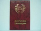 Диплом халявщика (AE0000715) (Мастер)