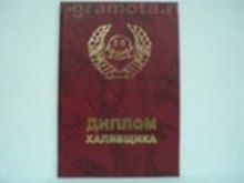 «Диплом халявщика», Мастер