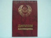 Диплом халявщика (AE0000715) (Мастер)