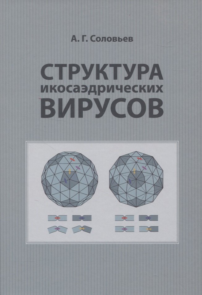 

Структура икосаэдрических вирусов