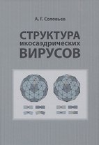 Структура икосаэдрических вирусов