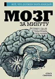 Мозг за минуту