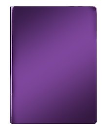 Ежедневник недат. А6+ 160л "Mirror" фиолетовый, иск.кожа, мягк.переплет, двойное ляссе, In Folio